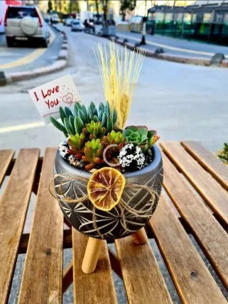 Sculent Terrarium - 1, Kütahya Melis Çiçek
