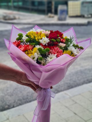 Renk Cümbüşü, Kütahya Melis Çiçek