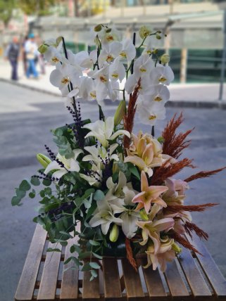 4 Dal Beyaz Orkide ve Kazablankalar, Kütahya Melis Çiçek