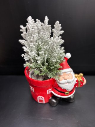 Noel Baba Saksılı Yılbaşı Ağacı, Çiiçekçi Kütahya