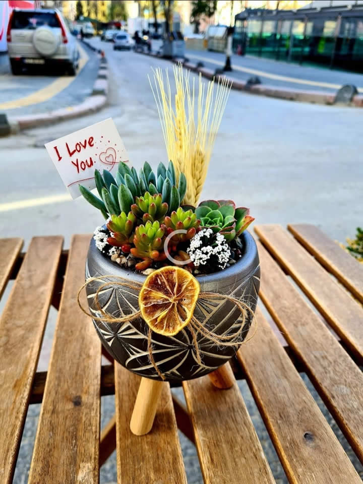 Sculent Terrarium - 1, Kütahya Melis Çiçek