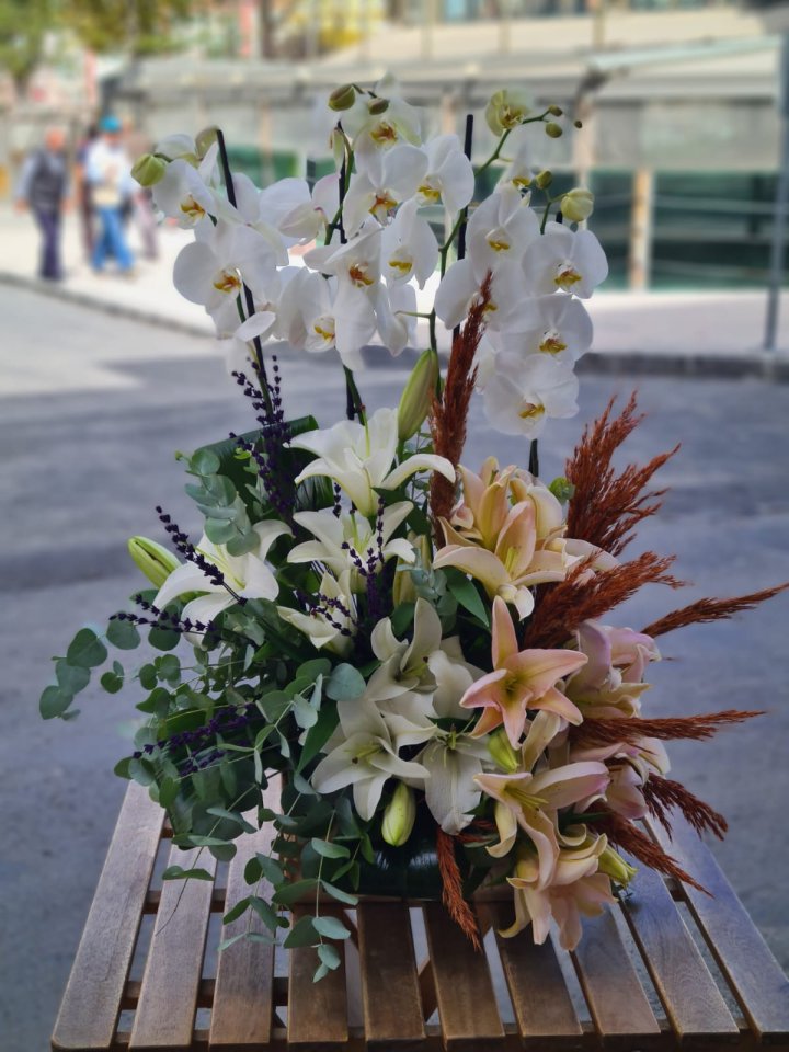 4 Dal Beyaz Orkide ve Kazablankalar, Kütahya Melis Çiçek