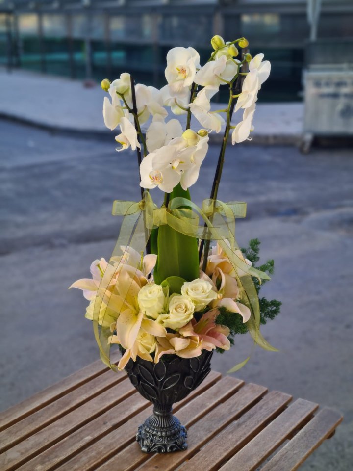 Elit Orkide Aranjmanı, Melis Çiçek