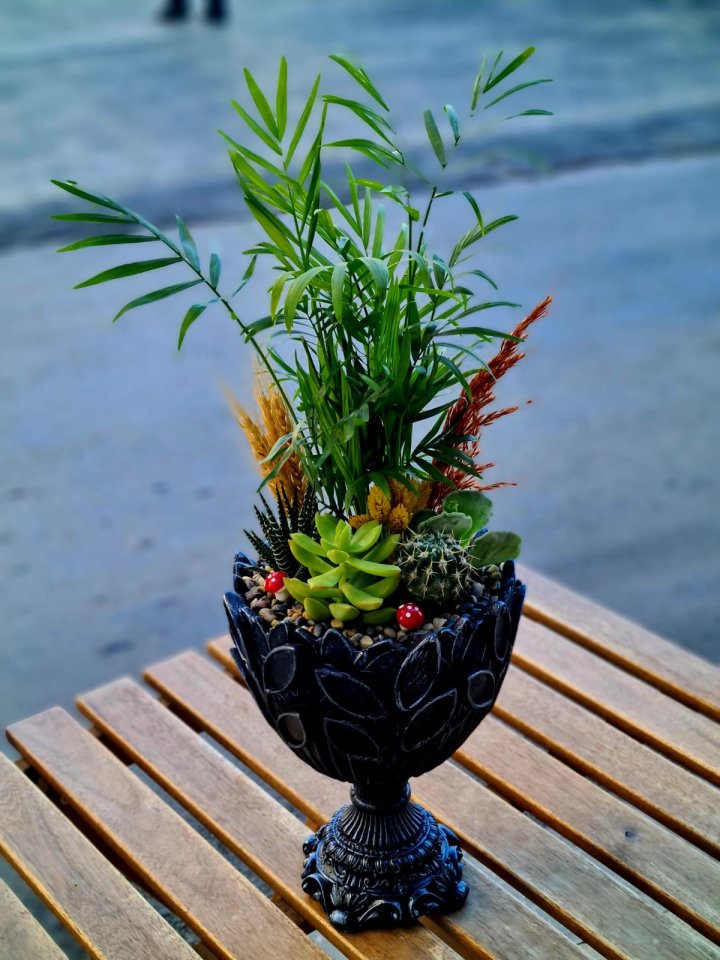 Kadeh Terrarium - Kütahya Çiçekçi