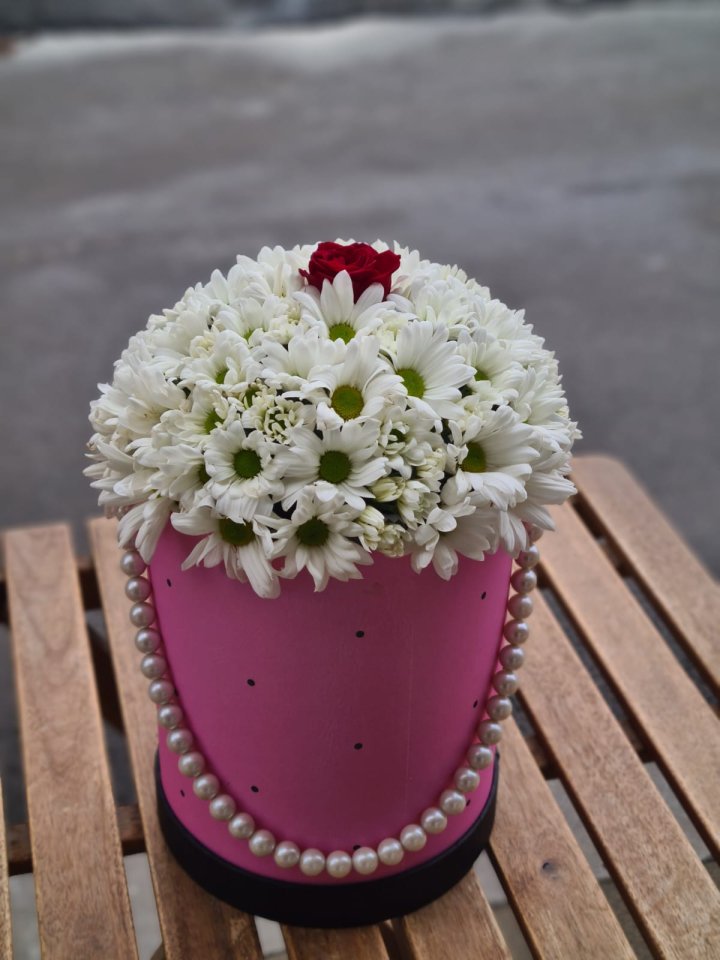 İncili Kutuda Papatya Gül - Kütahyada Çiçekçi