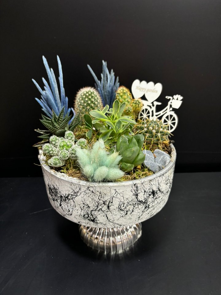 Şık Sculent Aranjmanı, Kütahyada Çiçekçi