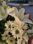 Çiçekçi - Beyaz Krizantem ve Kazablankalar